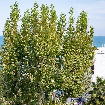 Desdemona Apartament *